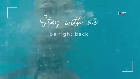 Snapshot of lily_foster_ chatting on September 25, 2025, 5:33 am Lily online show from September 25, 2025, 5:33 am