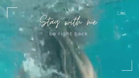 Snapshot of lily_foster_ chatting on September 30, 2025, 7:02 am Lily online show from September 30, 2025, 7:02 am