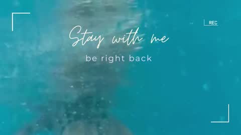 Snapshot of lily_foster_ chatting on November 1, 2025, 6:15 am Lily online show from November 1, 2025, 6:15 am