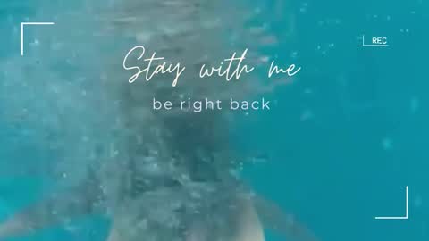 Snapshot of lily_foster_ chatting on November 2, 2025, 6:27 am Lily online show from November 2, 2025, 6:27 am