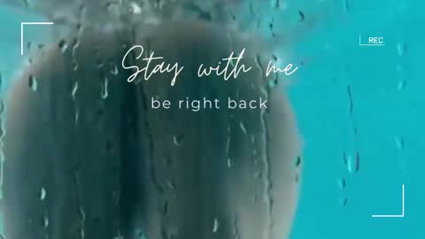 Snapshot of lily_foster_ chatting on December 19, 2025, 7:04 am Lily online show from December 19, 2025, 7:04 am