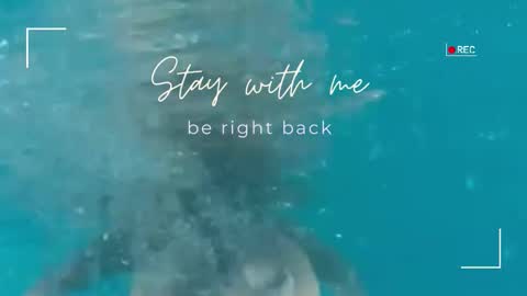 Snapshot of lily_foster_ chatting on February 4, 2026, 6:08 am Lily online show from February 4, 2026, 6:08 am