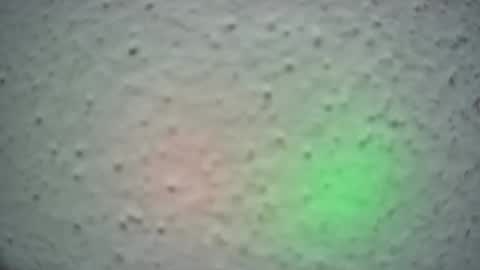 lily lovelyman online show from February 13, 2025, 6:52 am