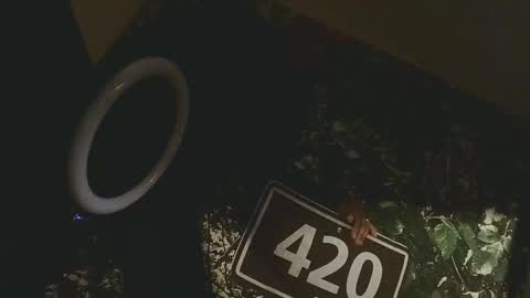 lilybvixen online show from February 25, 2026, 4:55 am