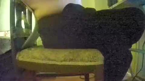 Snapshot of lilylovelyman50 chatting on June 22, 2026, 12:02 pm lilylovelyman50 online show from June 22, 2026, 12:02 pm