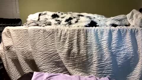 Richie Rich online show from December 13, 2024, 7:10 pm