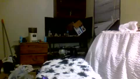 Richie Rich online show from December 30, 2024, 8:15 pm