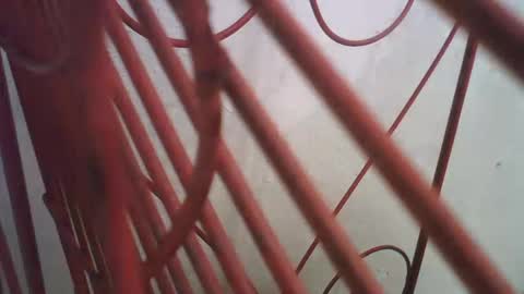 Richie Rich online show from October 11, 2025, 5:00 pm