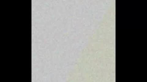 liquid_sky_ online show from September 27, 2025, 10:20 am