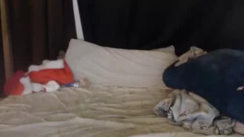 Lisa Tyler online show from December 27, 2024, 7:40 am