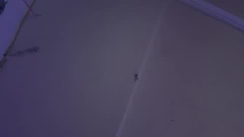 cristin online show from December 25, 2024, 11:00 am