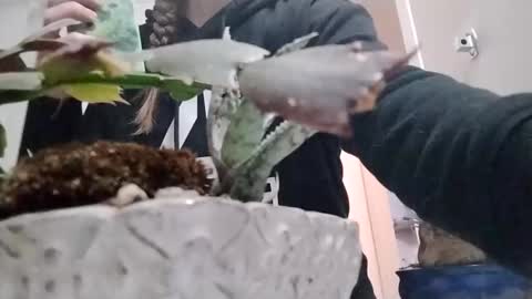 littleleo96 online show from October 5, 2025, 11:08 am