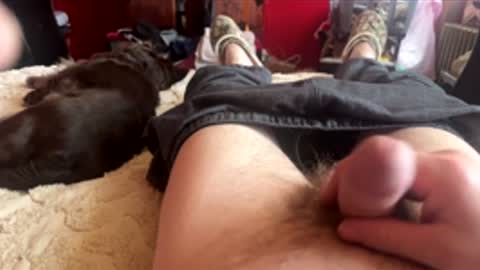 Little Tj online show from February 24, 2026, 5:33 pm