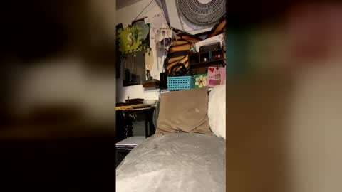 livpiper online show from April 29, 2026, 5:41 pm