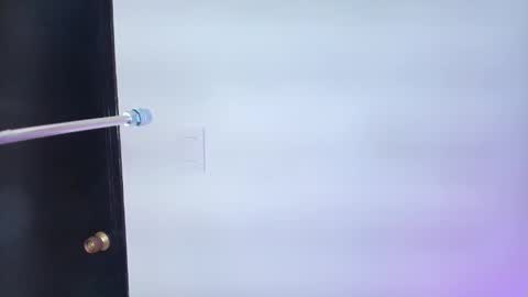 Lizz  online show from February 6, 2025, 11:54 am