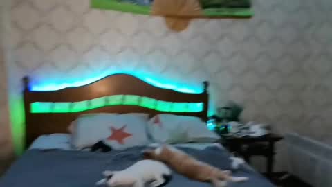 Snapshot of llevella chatting on January 8, 2025, 9:12 pm Sevy online show from January 8, 2025, 9:12 pm