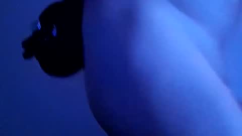 lllortx online show from December 31, 2024, 5:07 pm