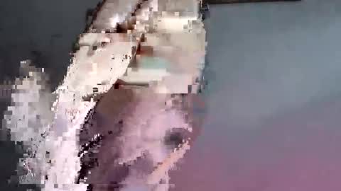 lllortx online show from March 5, 2026, 4:25 pm