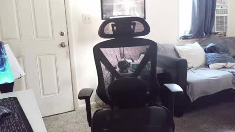 Snapshot of lngdickdaddy chatting on January 5, 2026, 6:22 pm LongDick Daddy online show from January 5, 2026, 6:22 pm