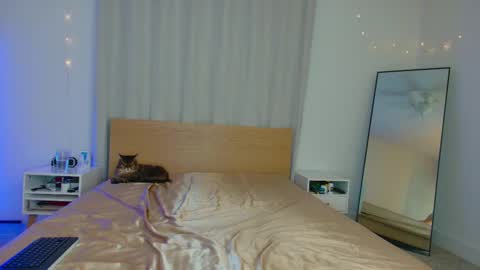 lolo 3 online show from March 2, 2025, 3:56 am