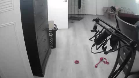 lohangwang69 online show from February 15, 2026, 9:44 pm