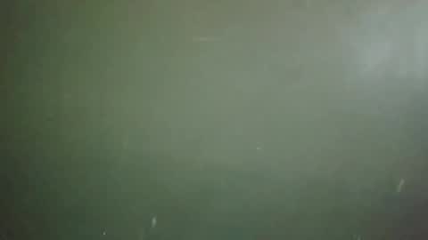 Snapshot of long101212 chatting on February 18, 2025, 7:41 pm long101212 online show from February 18, 2025, 7:41 pm