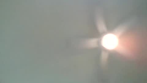 long1969dong online show from February 21, 2025, 2:17 am