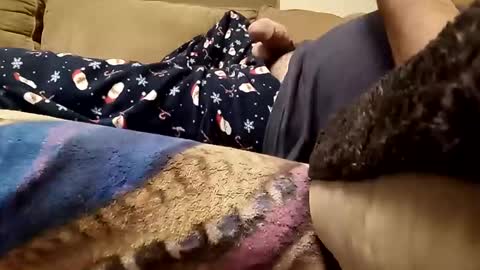 looking4bush online show from December 23, 2025, 2:42 am