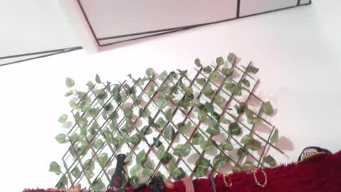 lorena  allison online show from October 29, 2025, 8:32 pm