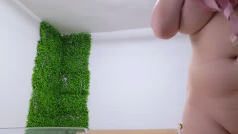 Amelia online show from February 25, 2025, 7:58 pm