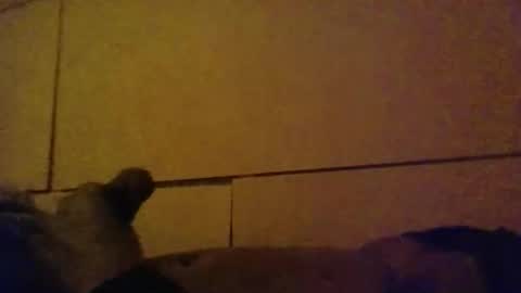 Snapshot of lovebignip chatting on February 16, 2026, 5:14 am lovebignip online show from February 16, 2026, 5:14 am
