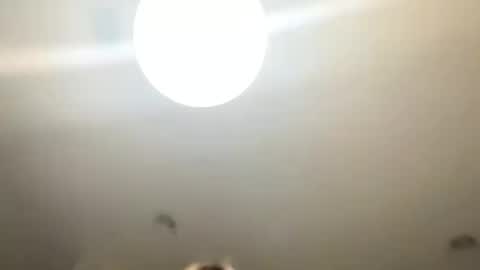 Love online show from January 24, 2025, 10:51 pm