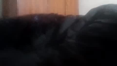 katrina follow me guys online show from January 1, 2025, 4:07 am