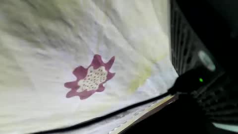 Snapshot of lovelypinay2 chatting on February 5, 2025, 3:34 am lovelypinay2 online show from February 5, 2025, 3:34 am