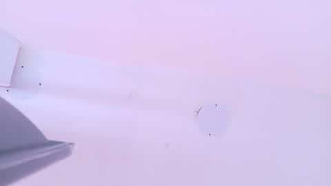 L O V E  online show from March 13, 2026, 11:39 am