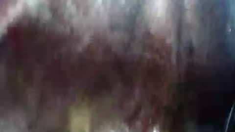 Snapshot of lover_mature2 chatting on February 21, 2025, 10:37 pm Mature lover2 online show from February 21, 2025, 10:37 pm