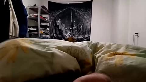 Snapshot of loveslick583698 chatting on December 23, 2024, 5:28 am Lovetlick online show from December 23, 2024, 5:28 am