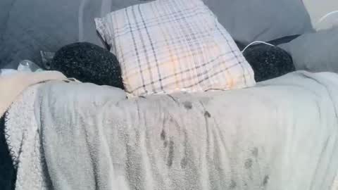 Snapshot of lovestobeused2 chatting on February 17, 2026, 2:19 am lovetobeused online show from February 17, 2026, 2:19 am