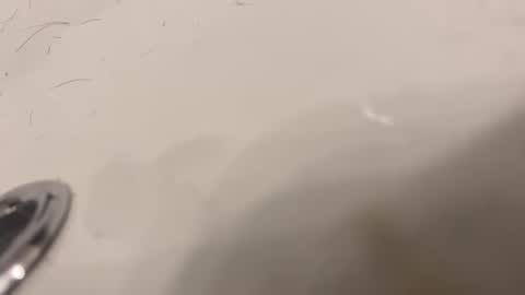 lovetoplayinmnwithu online show from January 30, 2025, 11:34 pm