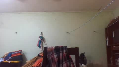 lpmauriciosantamaria online show from July 8, 2026, 12:53 pm