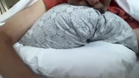 lqi online show from September 16, 2025, 11:00 am