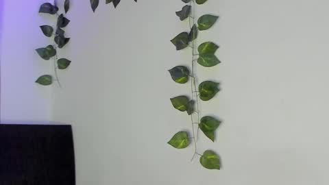 Jenn online show from February 4, 2026, 1:44 am