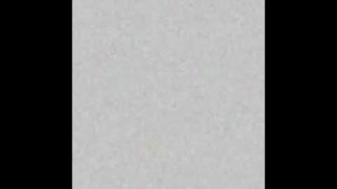   online show from February 19, 2026, 11:06 am