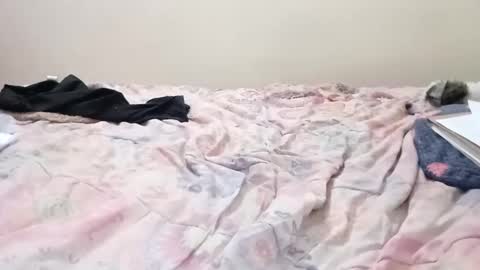 luanapowerful online show from February 11, 2025, 5:05 am