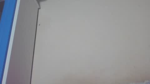 Snapshot of luciiaana chatting on December 31, 2024, 5:11 am luciana gr online show from December 31, 2024, 5:11 am