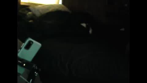 LuckyBlondeCouple online show from December 9, 2024, 2:28 pm