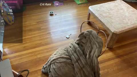 lucydreamsbaby online show from February 12, 2025, 6:19 pm