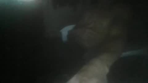 Snapshot of luizs23 chatting on November 5, 2025, 5:07 am luizs23 online show from November 5, 2025, 5:07 am