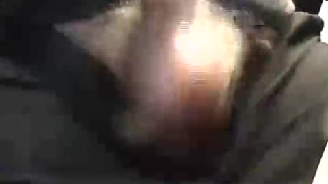 lukestarfckr online show from May 29, 2026, 1:53 pm