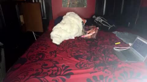 Snapshot of lulu_only_fans chatting on February 14, 2025, 4:09 pm Lulu online show from February 14, 2025, 4:09 pm